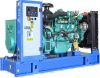 http://www.energoexpo.ru/dizelnye-generatory/tss-ad-50s-t400-1rm5/