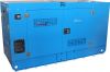 http://www.energoexpo.ru/dizelnye-generatory/tss-ad-30s-t400-1rkm19-avr-kozhuh/