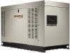 http://www.energoexpo.ru/gazovye-generatory/generac-rg-022-kozhuh/